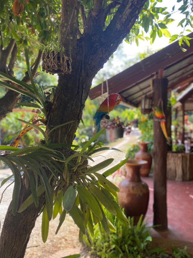 ホテル นพรัตน์การ์เด้นฮิลล์ ウタイターニー エクステリア 写真